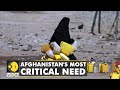 Ground Report: Afghanistan’s Water Crisis |  Residents struggle to get potable water | WION
