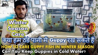 How to care Guppy fish in cold season in Hindi
