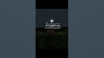 #القرآن_الكريم #سورة_المائدة #القارئ_عبد_الرحمان_مسعد #quran #explore #foryou