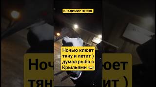 Владимир Песня / На Рыбалке Ночью Перед Нг #Шансон2024 #Shortvideo #Музыкадлядуши