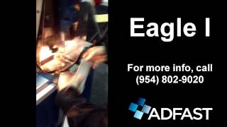 Download Eagle I Mp3 and Video Eagle I