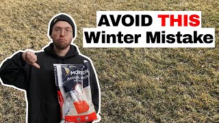 Winter Salt Damage Explained: How Road Salt Kills Grass & How to Prevent it