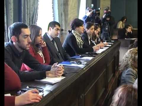 ეროვნული სამოქმედო გეგმა გაეროს..