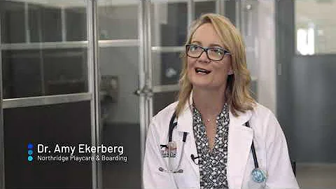 Dr. Amy Ekerberg on Hutton's Design+Build Process