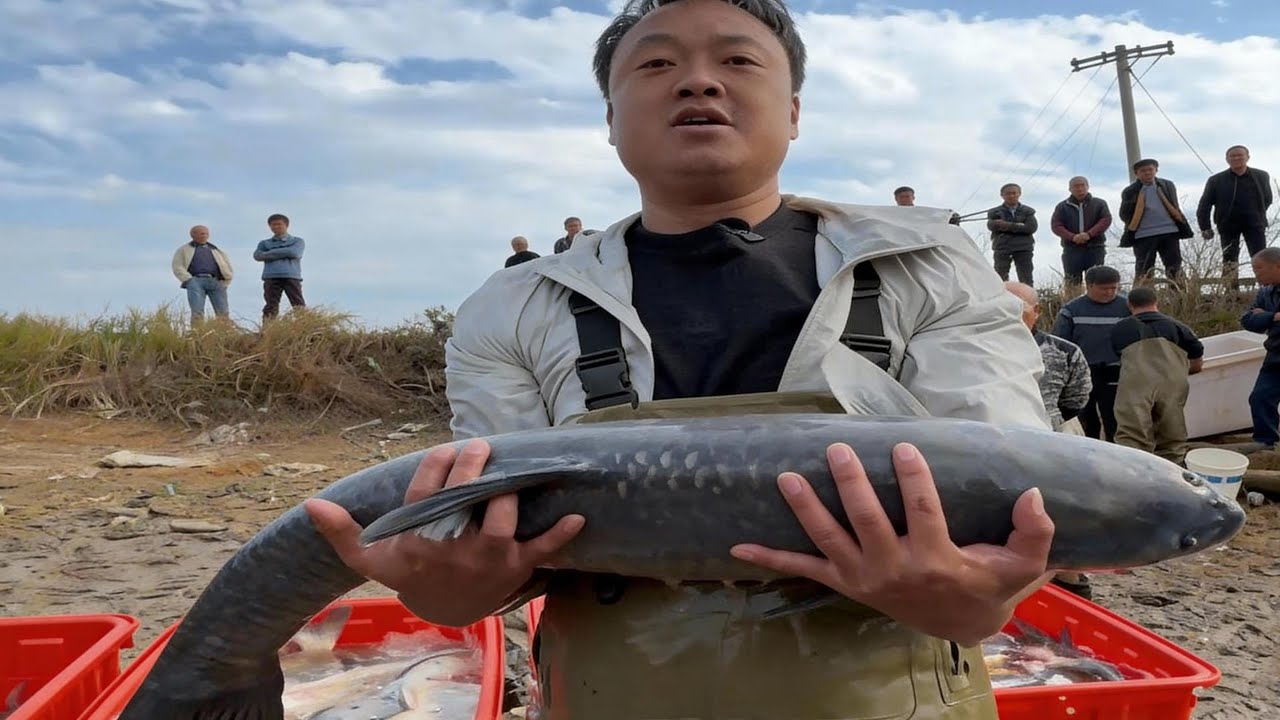 大表哥赚的最轻松的一次，塘主也是非常的大气！说不让大表哥亏就不让#捕鱼#户外#野外#抓鱼#三农