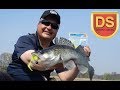 Днипро-Свинец и Big Fish: рыбалка с новинками