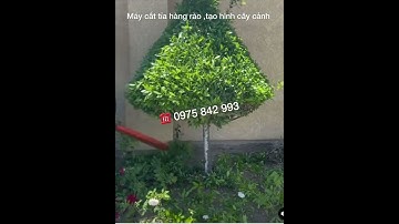 Máy cắt tỉa hàng rào ,cây cảnh đốn chè chạy xăng Kamatsu 230 - ☎️0975842993