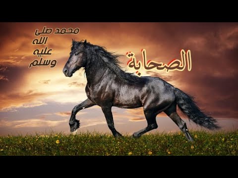حب صحابة رسول الله صلى الله عليه وسلم من الايمان