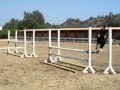 MVI_2648.MOV