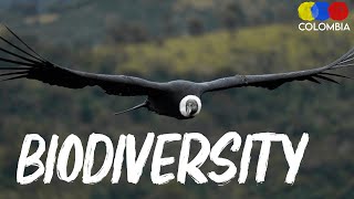 Colombia's Incredible Biodiversity | Full Overview