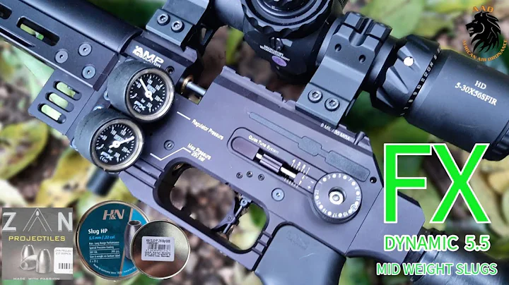 "Accuracy and Velocity Comparison: FX Dynamic 5.5mm Put to the Test with Mid weight Slugs.