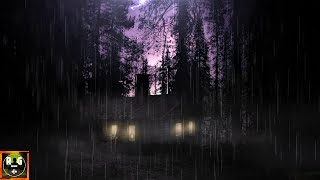 Thunderstorm Sounds with Rain, Thunder and Sounds of Owls and Wolves for Sleep, Study, Relax screenshot 4