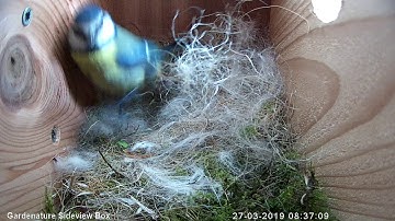 Gardenature sideview IP camera