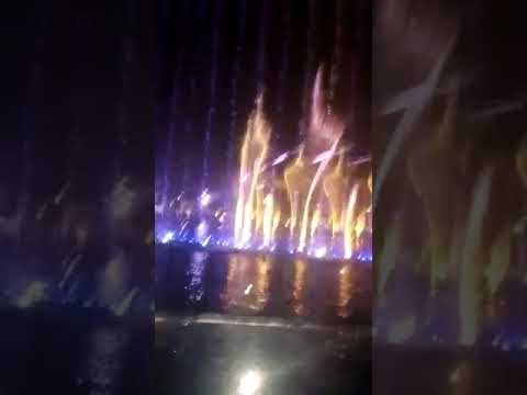 نفوره في الكويت حيل حلو
