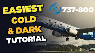 PMDG 737-800 Cold & Dark to Engine Start Tutorial | MSFS