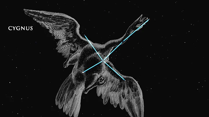 Highlights of the Night Sky - August 2021 | Astronomy Space Science | Video