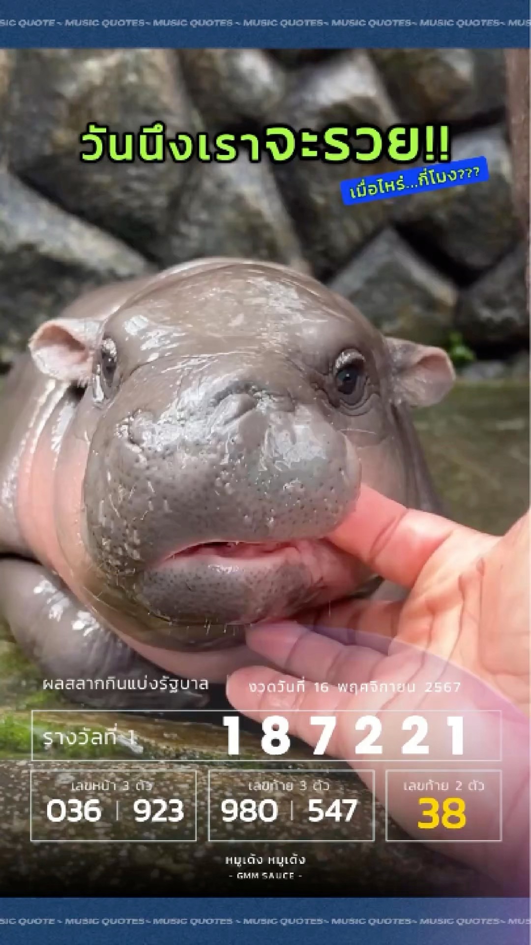 ? เหลือ 900 อยู่ถึงสิ้นเดือน น้ำทาร์จะไหล #หมูเด้ง !! #หมูเด้งหมูเด้ง #GMMMusic