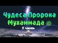 Самые удивительные 100 чудес Пророка Мухаммада ﷺ Часть 2