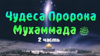 Самые удивительные 100 чудес Пророка Мухаммада ﷺ Часть 2