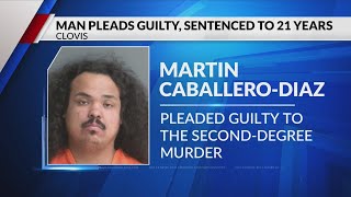 Clovis man pleads guilty to mother's murder, sentenced to 21 years