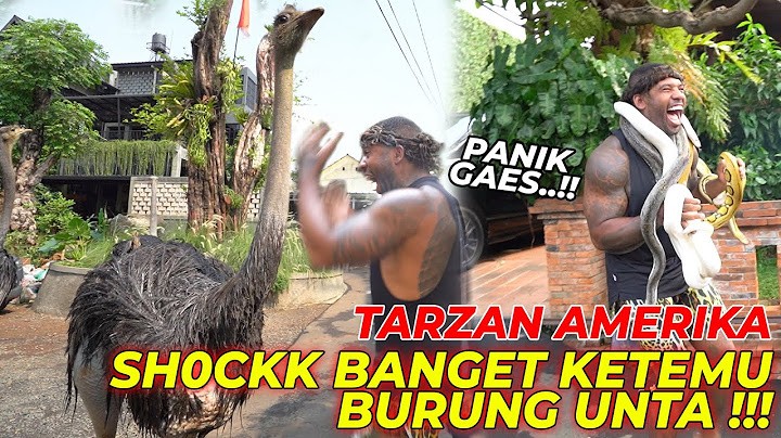 REAKSI ULAR,RUSA & BURUNG UNTA KETEMU TARZAN AMERIKA...TARZANN AUTO NGACIRRR...!!!wkwk