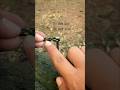 Simpul sederhana, namun sangat bermanfaat. #gtknot #shortvideo #knot #experiment