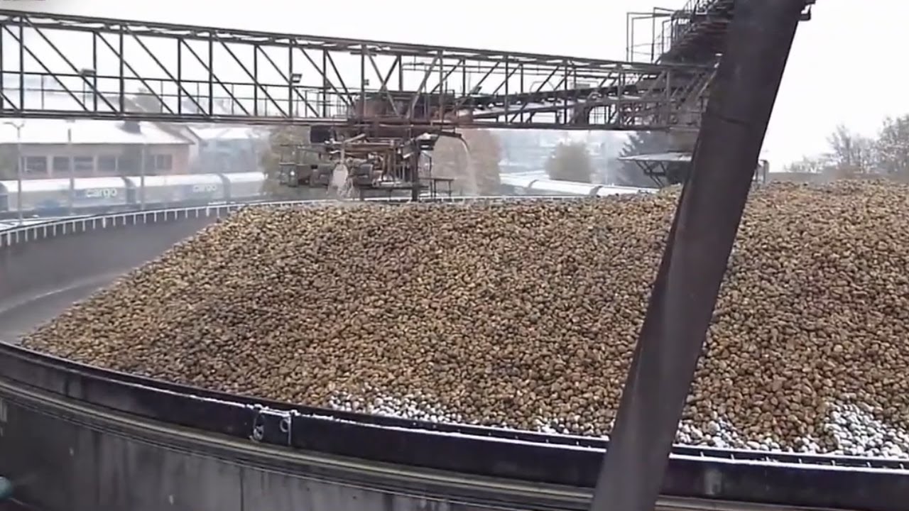How Sugar Beets Is Processed To Produce Sugar Modern Agriculture how-sugar-beets-is-processed-to-produce-sugar-modern-agriculture