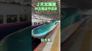 【僅か3編成】JR北海道H5系新幹線はやぶさ_仙台駅【地味にレア】#h5系 #新幹線 #はやぶさ