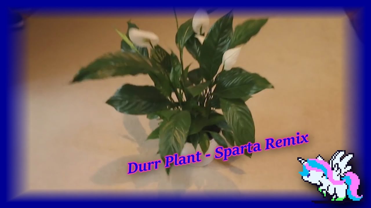 Durr Plant - Sparta Remix