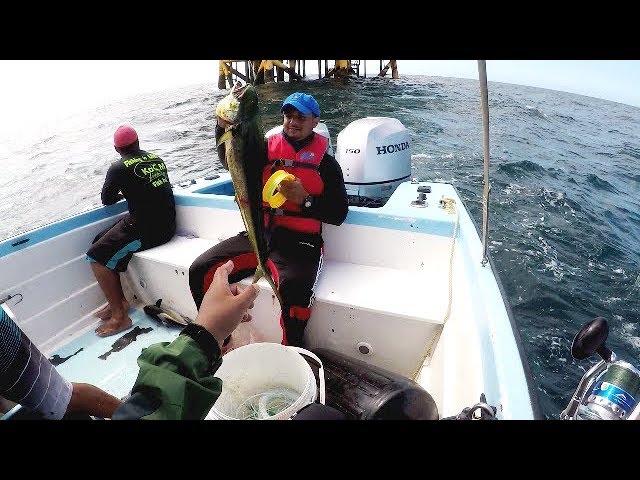 DEEP SEA HANDLINE FISHING - 25 Miles Offshore - Trinidad, Caribbean 