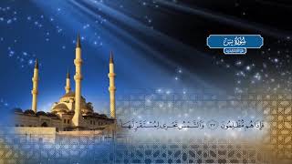 سورة يس | بصوت الشيخ أحمد محمد الطاهر