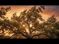 Peaceful Rain Sounds for 1 Hour | Relax &amp; Clear Your Mind