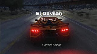 El Gavilan - Luis R Conriquez x Tony Aguirre x Peso Pluma ( Slowed y letra )