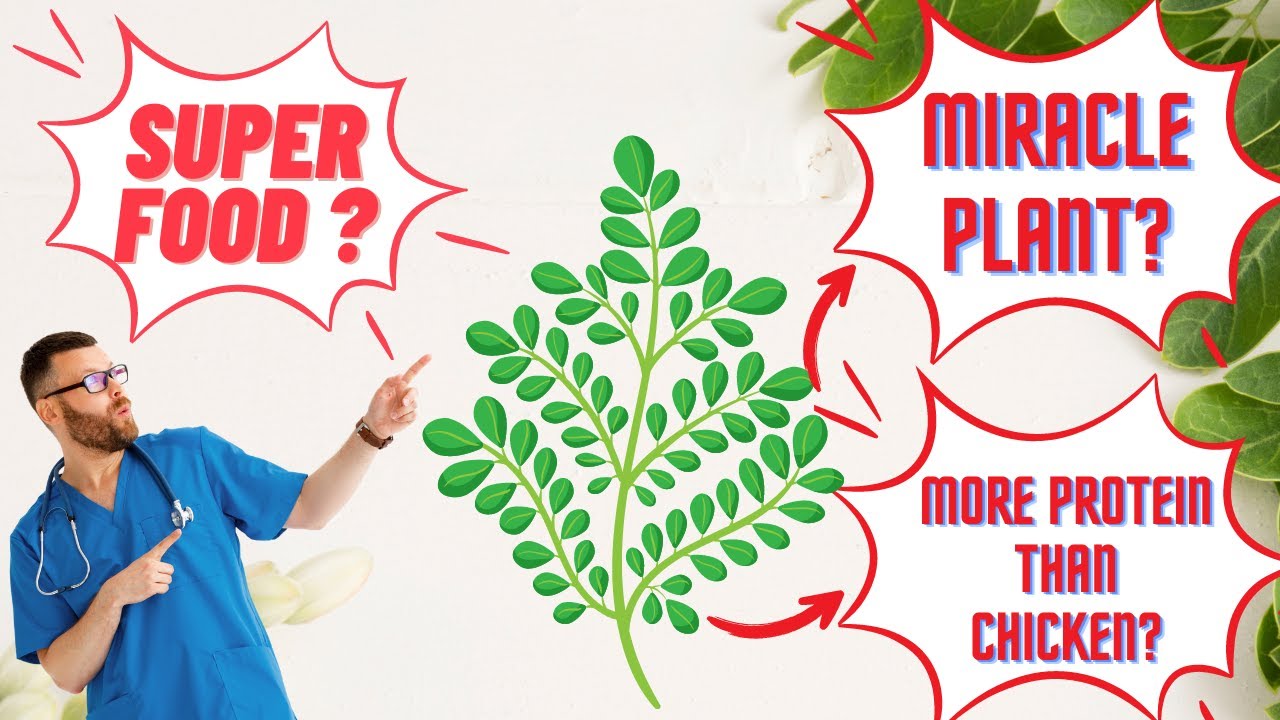 MORINGA - AMAZING HEALTH BENEFITS  - #superfoodsundays