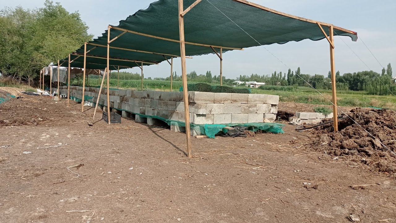 Биогумусту сапаттуу жана тез даярдаш жолу