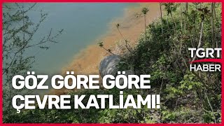 Dereye Atıklarını Boşaltan Firma Suçüstü Yakalandı - Tgrt Haber