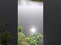 The nature of the Netherlands# nature#travel #city #bike #village #water