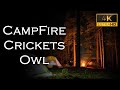 Night Camp Fire, Cricket Chirping, Owl— Ambient Nature Sounds, Good Sleep
