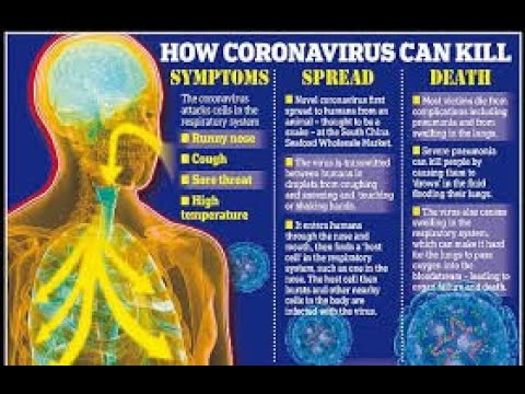 chinese-wuhan-coronavirus-is-too-dangerous