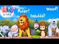 Sons dos Animais | Canção de Som Animal | Música Infantil - HeyKids