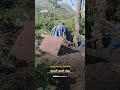 فيديو يوثق وجود مواطير شفط وأنابيب تمتد مباشرة من مياه الصرف الصحي لري المحاصيل الزراعية في إب