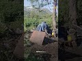 فيديو يوثق وجود مواطير شفط وأنابيب تمتد مباشرة من مياه الصرف الصحي لري المحاصيل الزراعية في إب