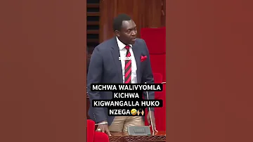MCHWA WALIVYOMLA KICHWA KIGWANGALLA NZEGA 