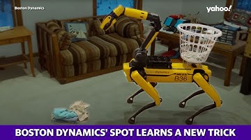 ‘Spot’ robot: Boston Dynamics upgrades four-legged robot with a new appendage