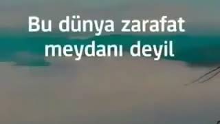 Zarafat Elemeyin