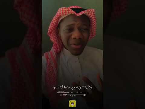 مدح الرسول صلى الله عليه وسلم قصة الحمامة