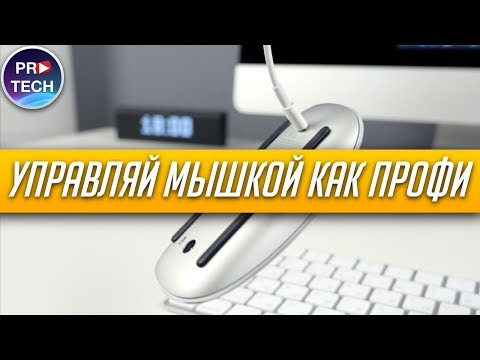 ვიდეო: როგორ დაიშალა Apple მაუსი