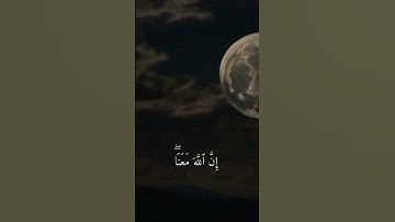 سورة التوبة الآية 40 القارئ عبد الرحمن مسعد #القرآن_الكريم #اجر_لي_ولك #راحة_نفسية #فلسطين_حرة