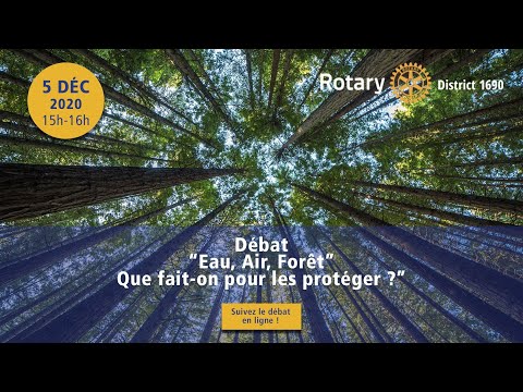 Vidéo: Voir La Forêt Pour Les Arbres. Pourquoi Les Gens Savent-ils Penser Au Figuré, Et Les Ordinateurs - Ne Pas? - Vue Alternative