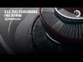 VOCAL TRANCE: h.x.e. feat. Sylvia Bremer - Free My Mind [Essentializm]   LYRICS